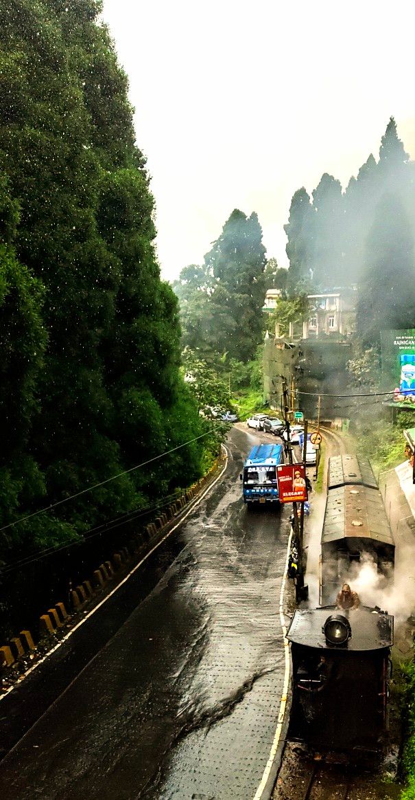 Hidden Monkey Homes · Batasia Loop